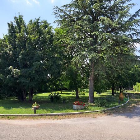 Отель Casa Massimo Altedo Экстерьер фото